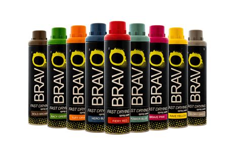 bravo spray paint for plastic