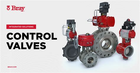 bray controls valves