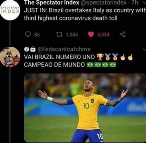 brazil campeo de mundo meme