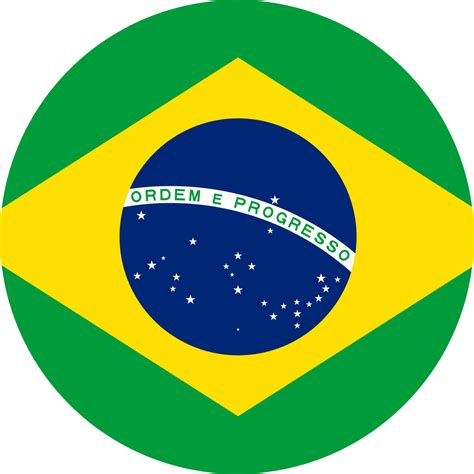 brazil flag emoji art