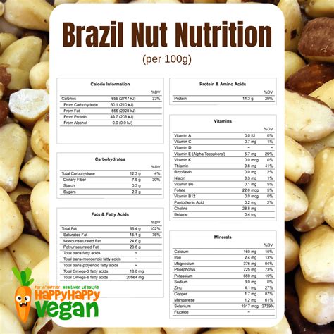 brazil nuts nutrition facts 100g