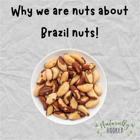 Brazil Nuts Sibo