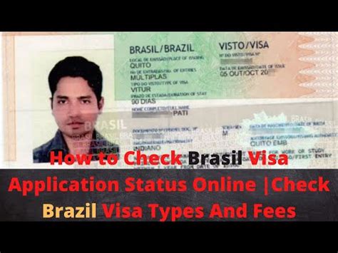 brazil visa application status