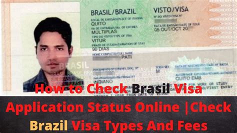 brazil visa application status check