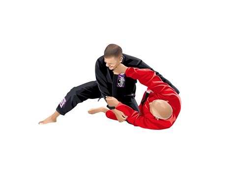 brazilian jiu jitsu online course