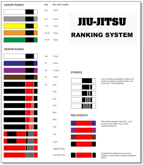 brazilian jiu jitsu ranks