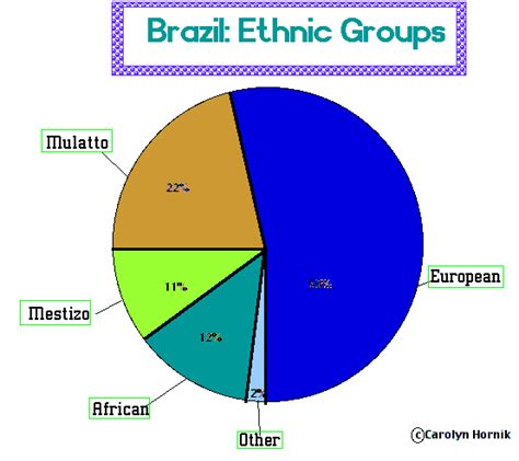 brazilian population by race