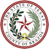 brazos county docket