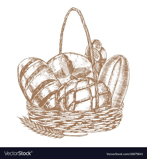 Bread Basket Sketch