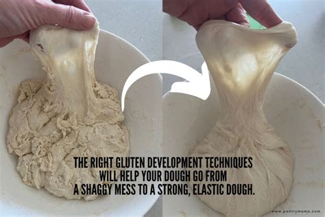 Bread Dough Gluten Development