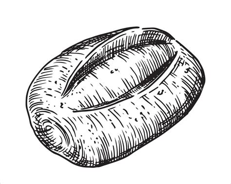 Bread Drawing Vector