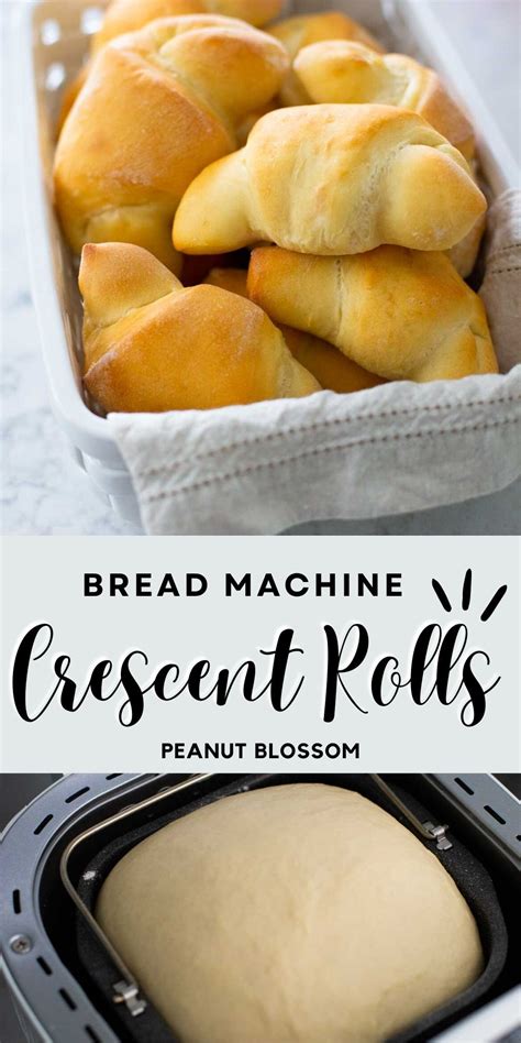 Bread Machine Crescent Rolls