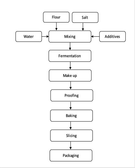 Bread Making Igcse Biology