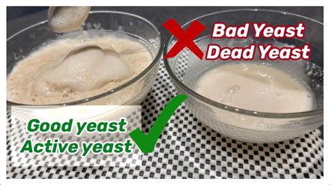 Bread Yeast Not Rising