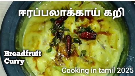 breadfruit in tamil basic breadfruit curry