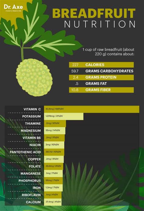 breadfruit nutrition
