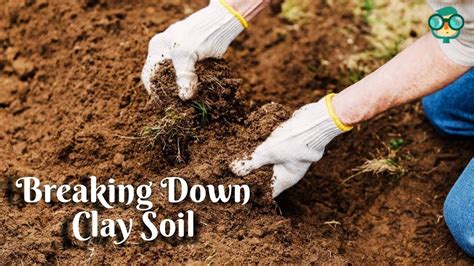 Break Down Clay Soil
