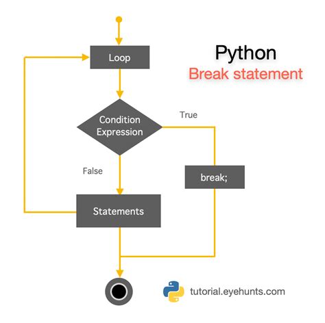 Break In For Loop Python