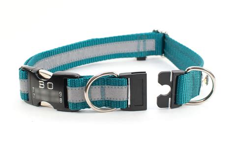Breakaway Dog Collar Personalized