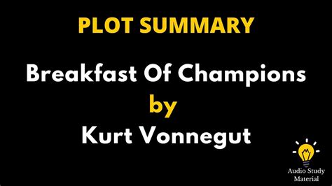 breakfast of champions plot summary