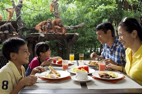 breakfast with orangutans singapore zoo 2022