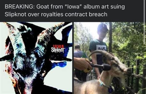 breaking goat news reddit