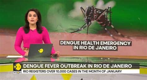 breaking sp dengue news