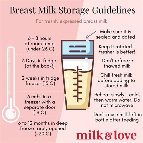 Safe Breast Milk Storage: A Guide for New Mothers