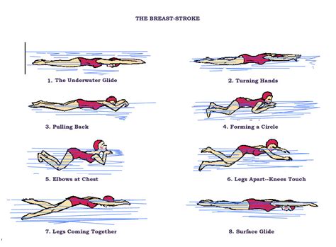 breaststroke 2