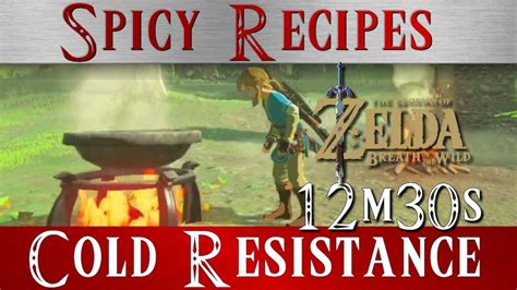 The Legend of Zelda Breath of the Wild cooking recipes