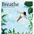 breathe magazine coupon code