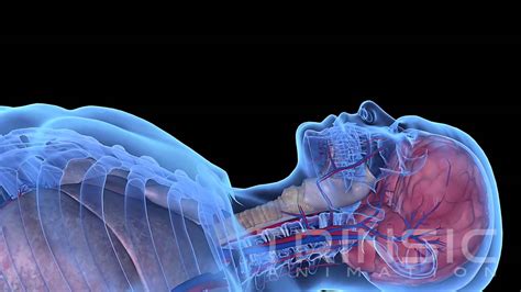 Breathing Liquid Oxygen Video