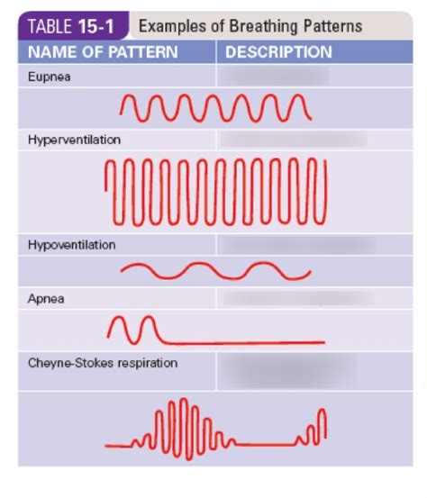 Breathing Patterns Quizlet