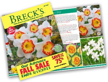 Breck S Catalog