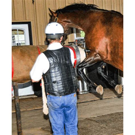 Breeding Mount Success Secrets: Expert Tips for the Modern Stallion