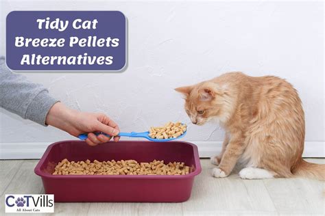 Breeze Litter Pellets Substitute