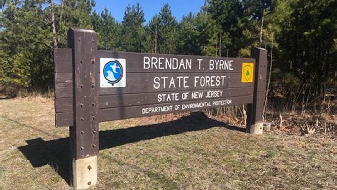 Brendan T Byrne State Forest Camping: A Haven for Outdoor Enthusiasts