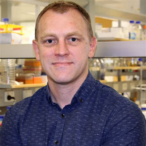 Unlocking the Creative Genius: A Deep Dive with Brett Collins