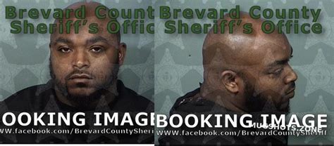 brevard county mugshot