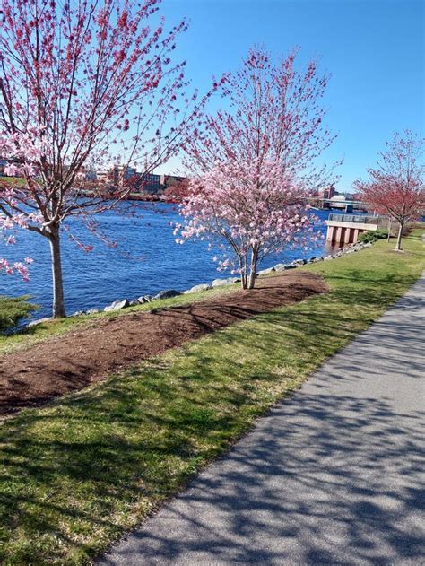 Brewer Waterfront Park