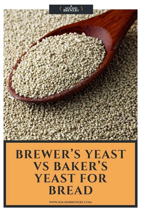 Brewers Yeast Vs Bread Yeast