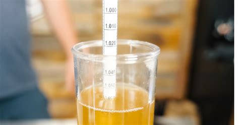 Brewing Wort Measure