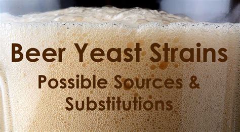 Brewing Yeast Strains