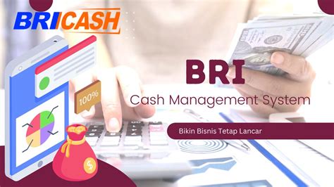 bri cash management system pricing