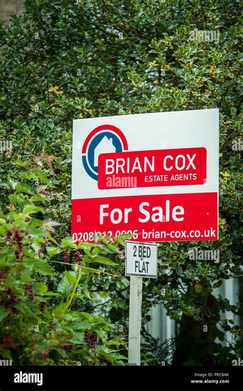 brian cox estate agents harrow