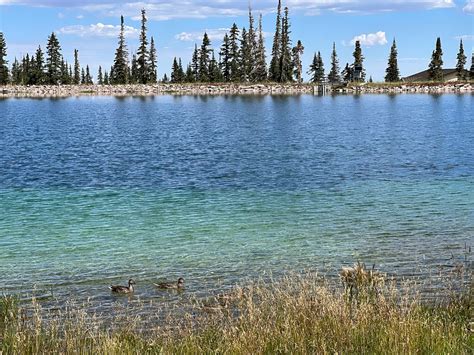 Brian head, Utah. My weekend hike Weekend hiking, Brian head, Natural