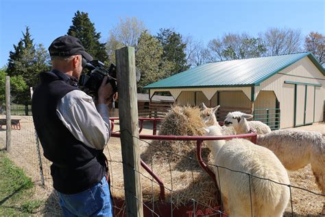 briar branch alpaca farm