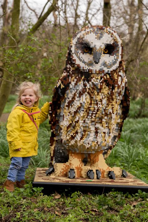 brick animal control