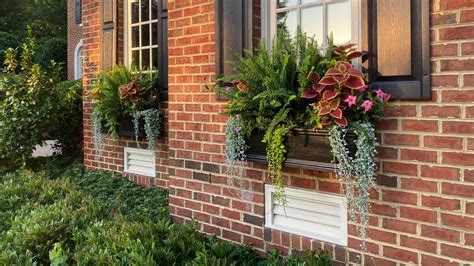 Brick House With Window Boxes