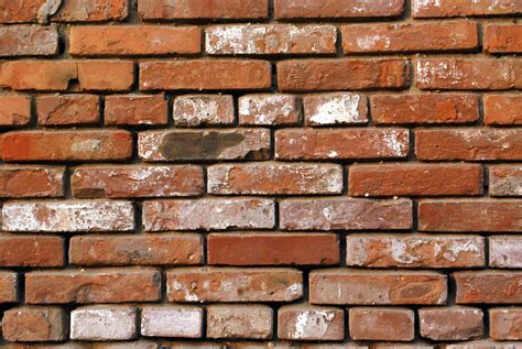 brick wlal